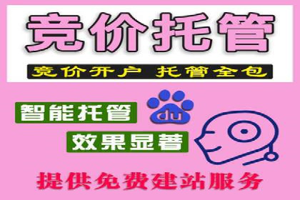 托管SEM竞价案例分享：从新手到高手